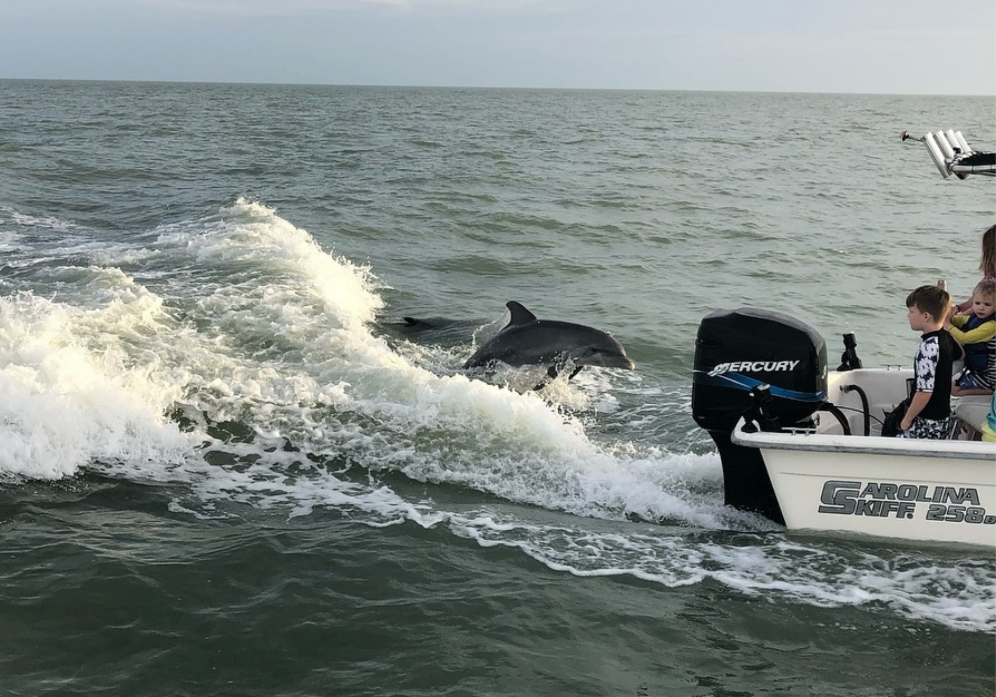 Carolina Skiff on water and dolphins